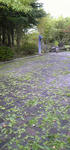 091009_063757.JPG
