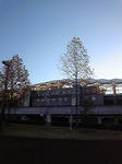 091104_064053.JPG