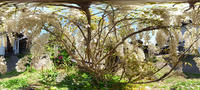 PTG_814_980X440_cut.jpg