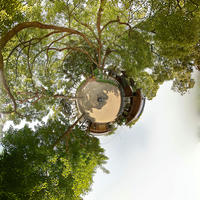 PTG_Tenko_shrine_stereo.jpg