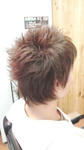 2010032810210000.jpg