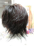 2010042211470000.jpg