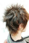 2010042318020000.jpg