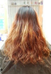 2010042609160000.jpg