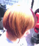 2011032514150001.jpg