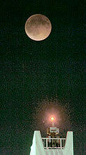 6799_1.jpg