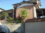 DSC03547-s.jpg