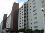 DSC03415-s.jpg