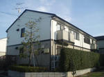 543_1.jpg