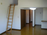 2e24028b.jpg