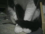 6686b81c.jpg