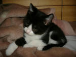 DSCF0074.JPG