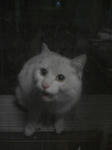 282d86f0.jpg
