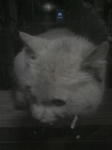 bd716258.jpg