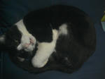 STdf310020.jpg