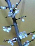 J0215.jpg