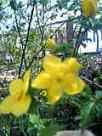 wk04094.jpg