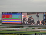阪神競馬場の大型スクリーン