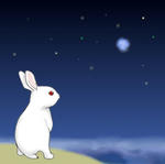 ウサギ