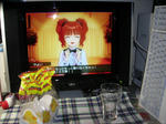 DSCN0404.jpg