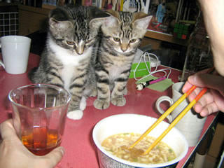 20090410.jpg