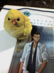 oreyome.gif
