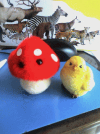 orekino.gif