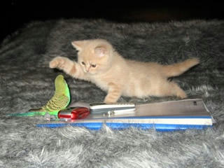 2009040702.jpg