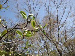 CA3J0040.jpg