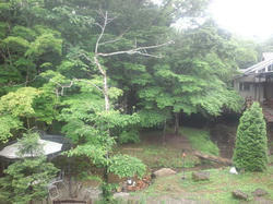 CA3J0170.jpg