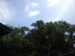 CA3J0271.jpg