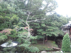 CA3J0295.jpg
