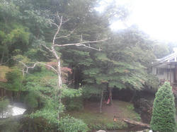 CA3J0296.jpg