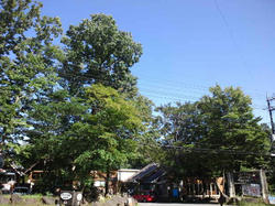 CA3J0335.jpg