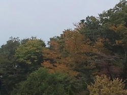 CA3J0366.jpg