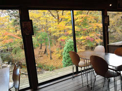 20111107.jpg