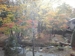 20111108.jpg