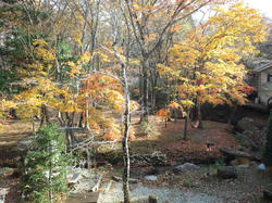 CA3J00780001.jpg