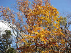 CA3J00850001.jpg