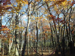 CA3J00870001.jpg