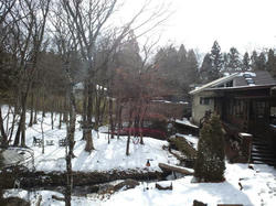 CA3J0460.jpg