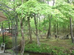 CA3J01470001.jpg
