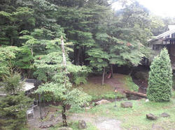 CA3J0685.jpg