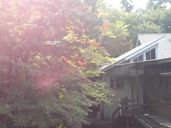 CA3J02350001.jpg