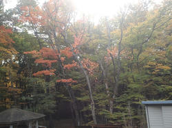 CA3J02460001.jpg