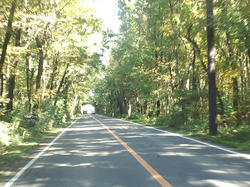 CA3J0241.jpg