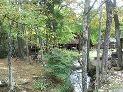 CA3J0247.jpg