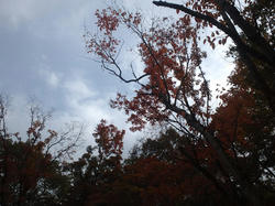 CA3J0248.jpg
