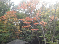 CA3J0249.jpg