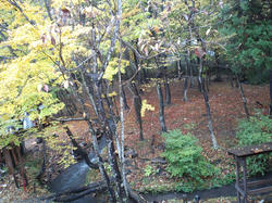 CA3J0264.jpg